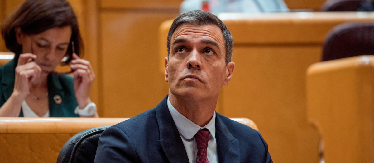 El presidente del Gobierno en funciones, Pedro Sánchez, durante una sesión plenaria en el Senado