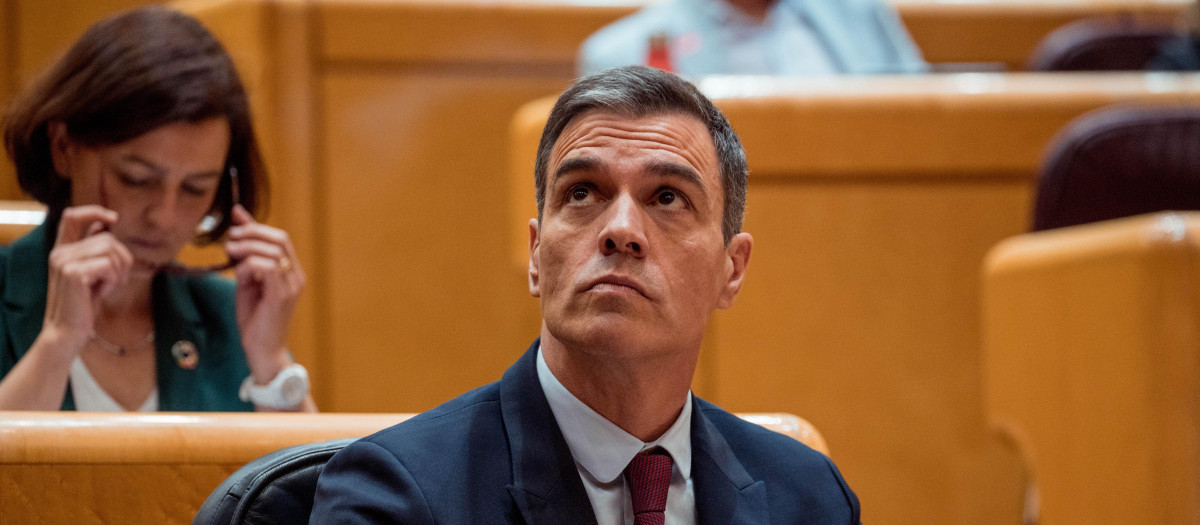 El presidente del Gobierno en funciones, Pedro Sánchez, durante una sesión plenaria en el Senado