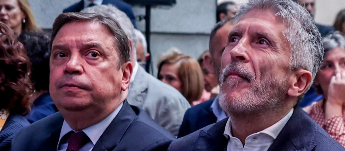 Los ministros de Interior y de Agricultura, Fernando Grande-Marlaska y Luis Planas