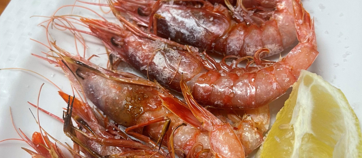 Gambas rojas Los Pajaritos
