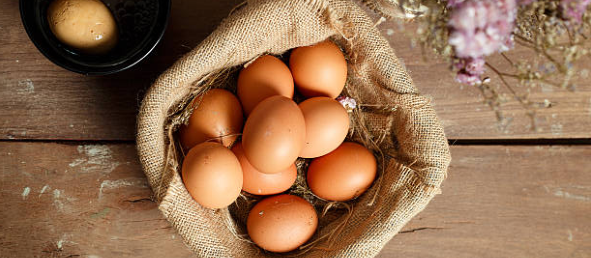 Huevos para Santa Clara