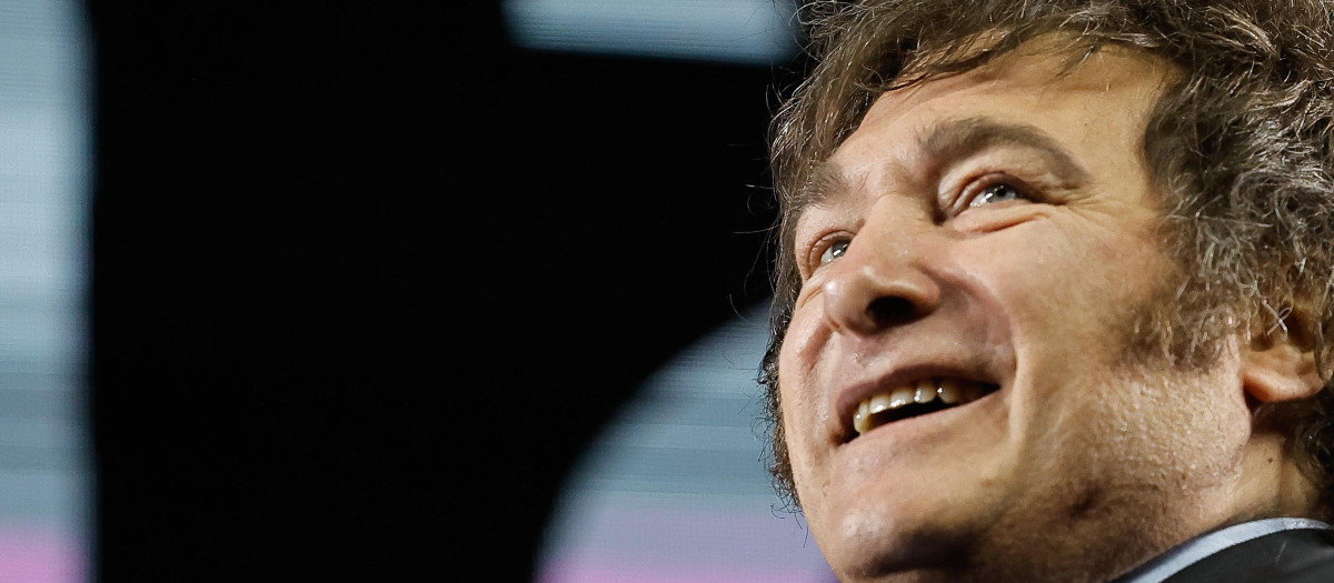 La reducción del gasto político de Javier Milei: «El Estado es el problema, no la solución»