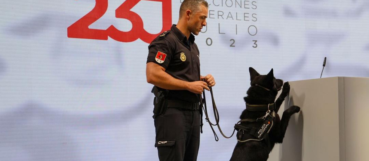 Un perro policía inspecciona las instalaciones de las pasadas elecciones generales del 23J