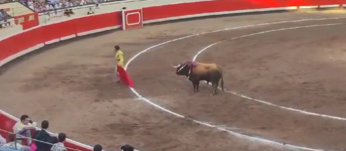 Morante de la Puebla en el momento en que parte la faena en Bilbao