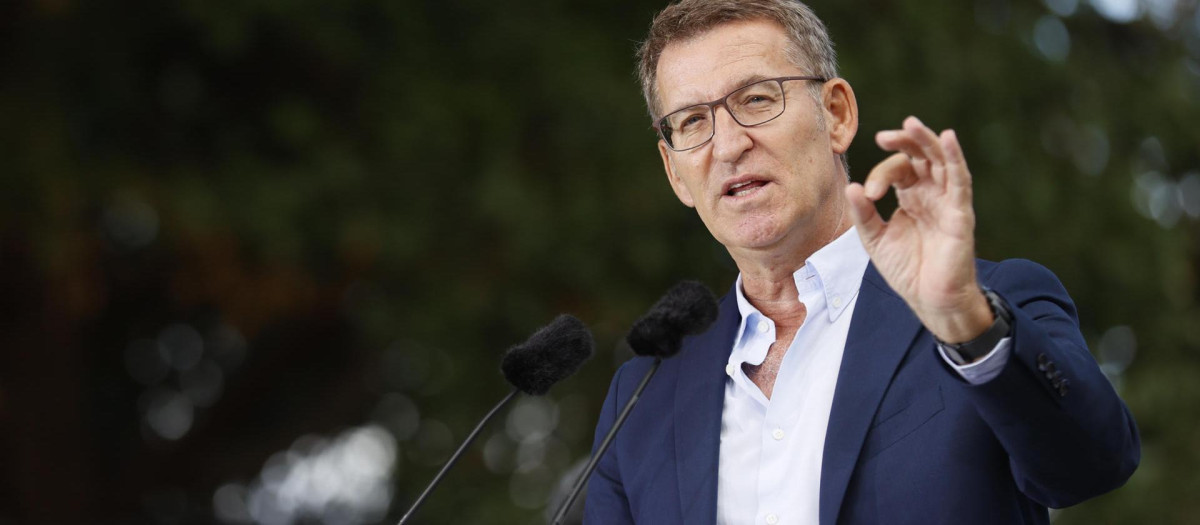 El presidente del Partido Popular, Alberto Núñez Feijóo