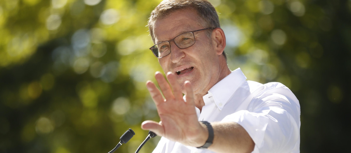 El presidente del Partido Popular, Alberto Núñez Feijóo,