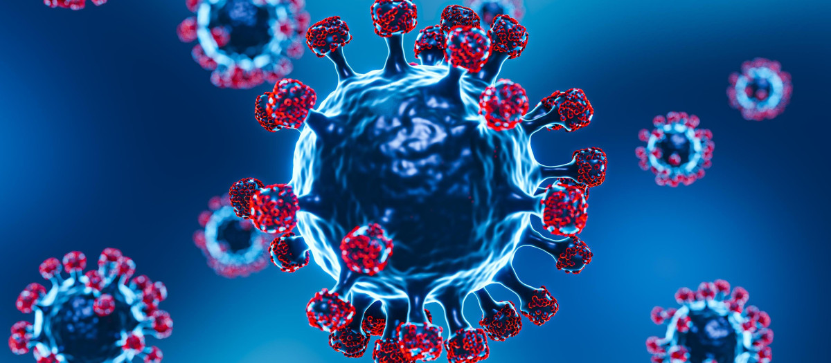 Modelado de coronavirus en 3D