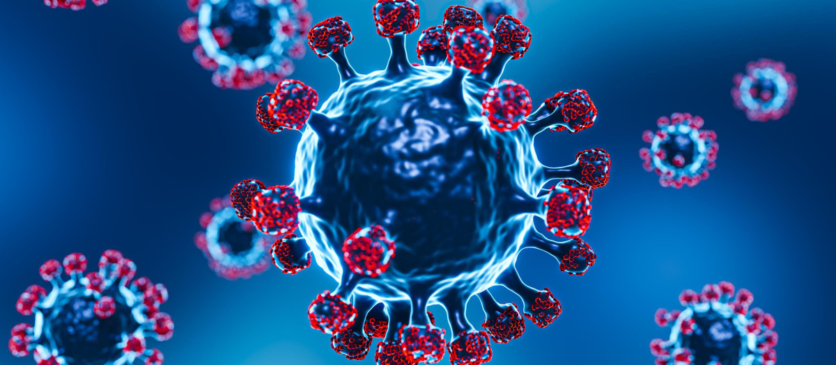 Modelado de coronavirus en 3D