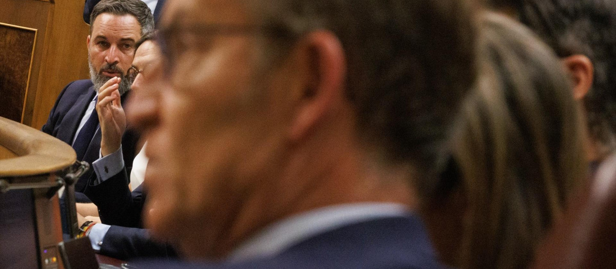 El líder de VOX, Santiago Abascal, durante una sesión plenaria en el Congreso de los Diputados