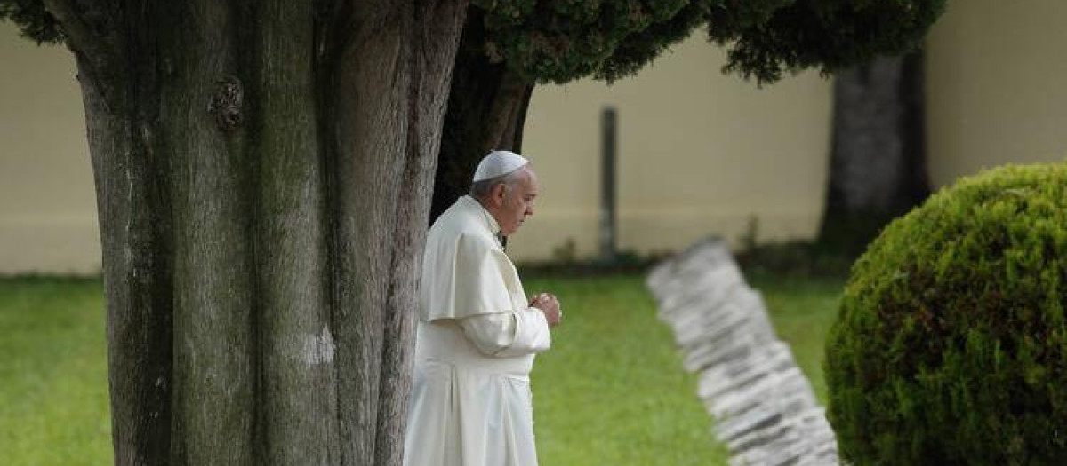 El Papa Francisco rezando bajo un árbol