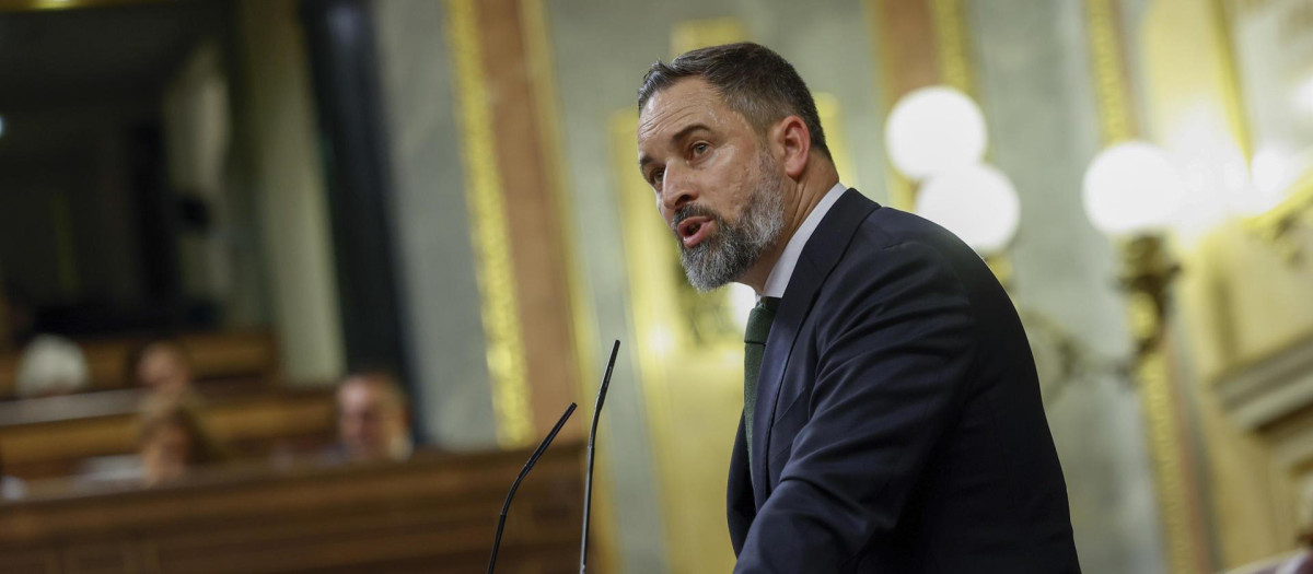 El líder de Vox, Santiago Abascal