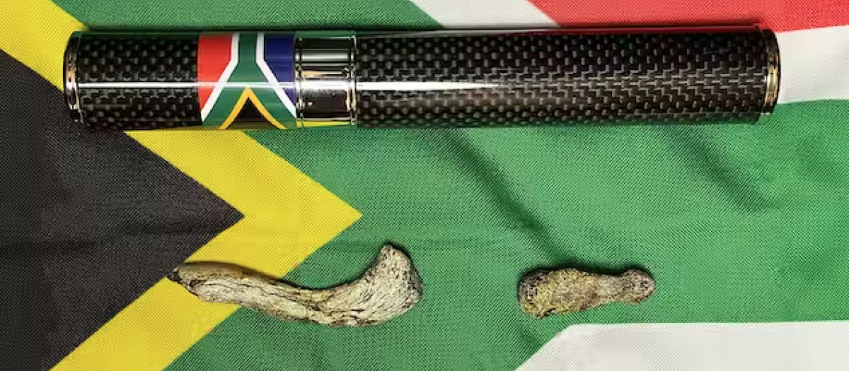 Los fósiles con el tubo de fibra de carbono en el que se guardaron durante el vuelo espacial