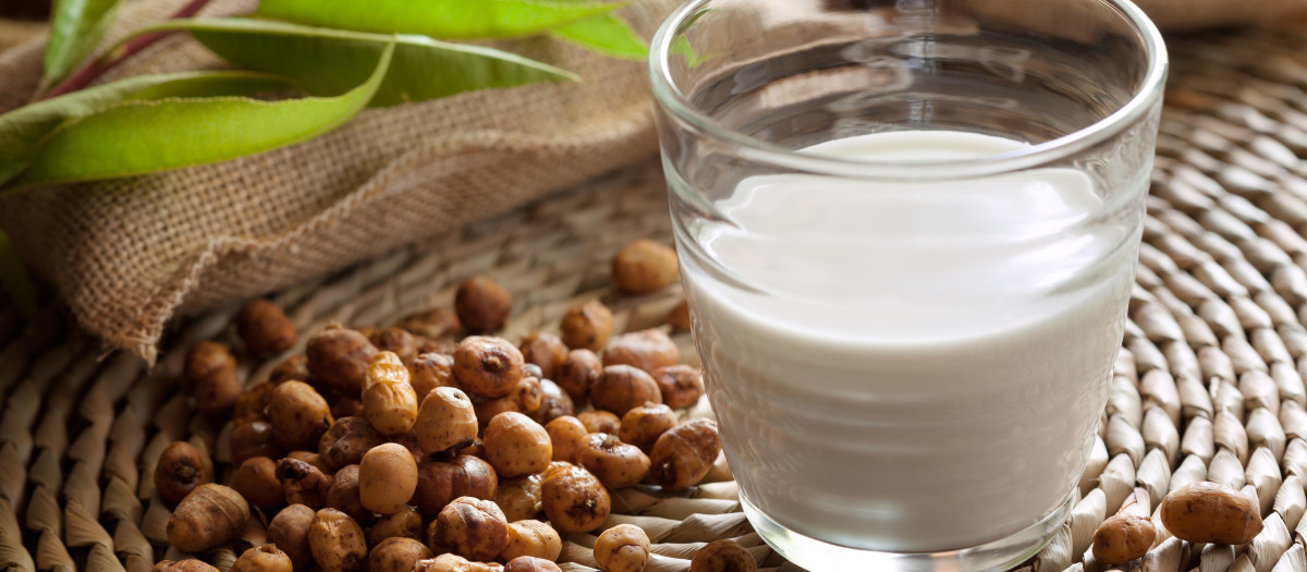 lait végétal de souchet