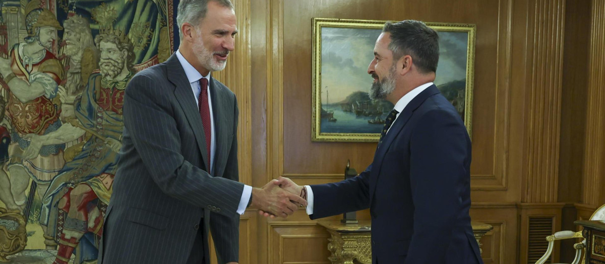 El Rey Felipe VI (i) recibe en audiencia al presidente de Vox, Santiago Abascal