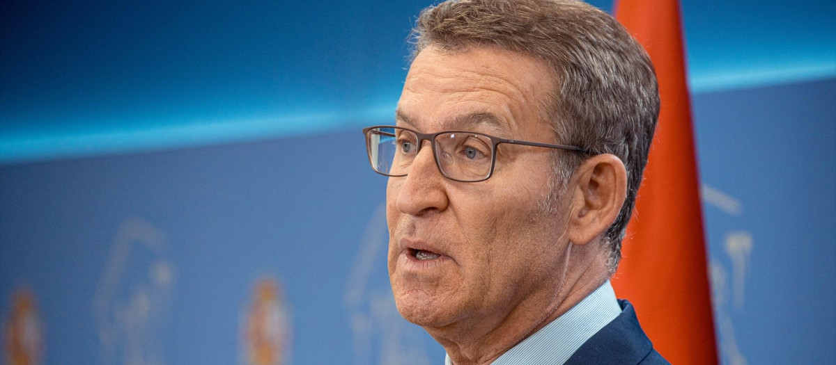 El líder del PP, Alberto Núñez Feijóo