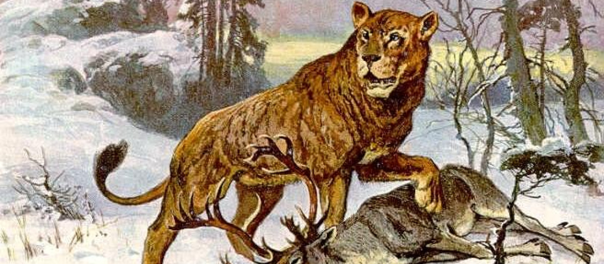 El león de las cavernas