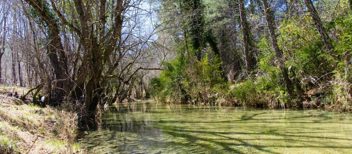 Orilla del río Guadalquivir