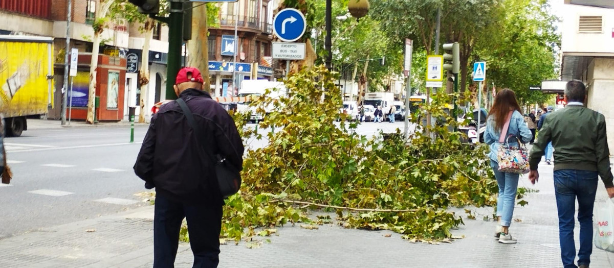 La borrasca Bernard en Córdoba