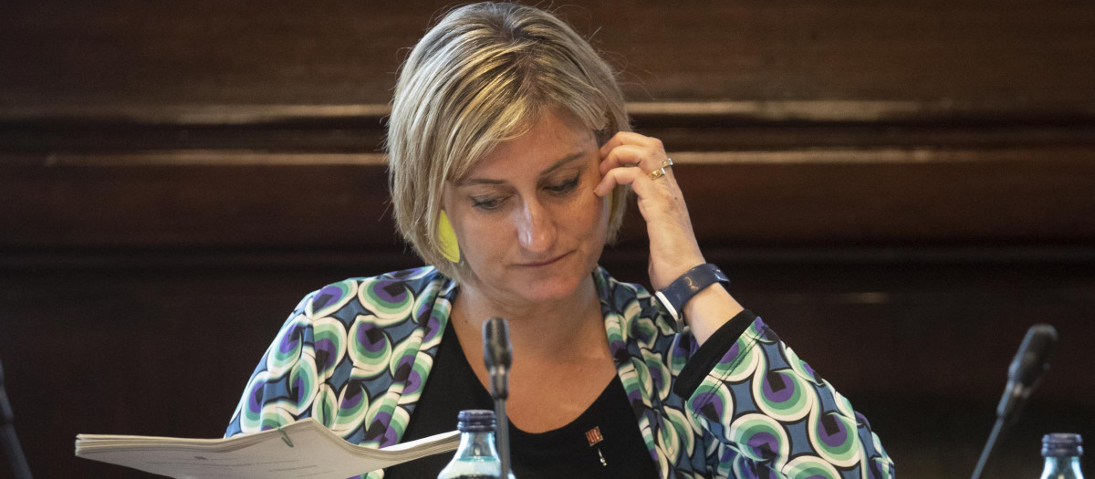 La vicepresidenta primera del Parlament, Alba Vergés