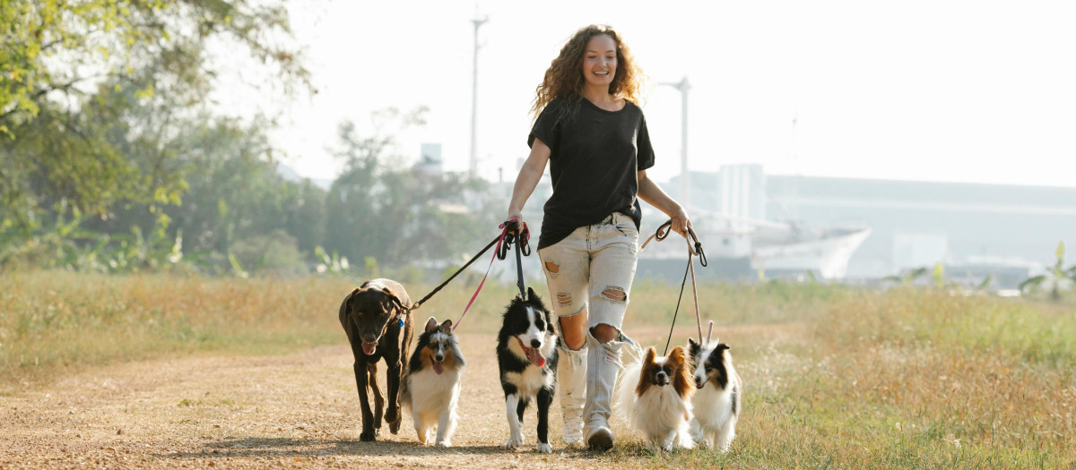 Mujer con perros