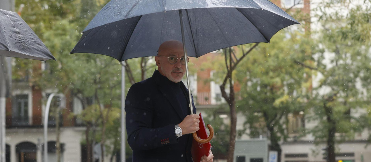 Luis de la Fuente, en su entrada a la Audiencia Nacional este jueves
