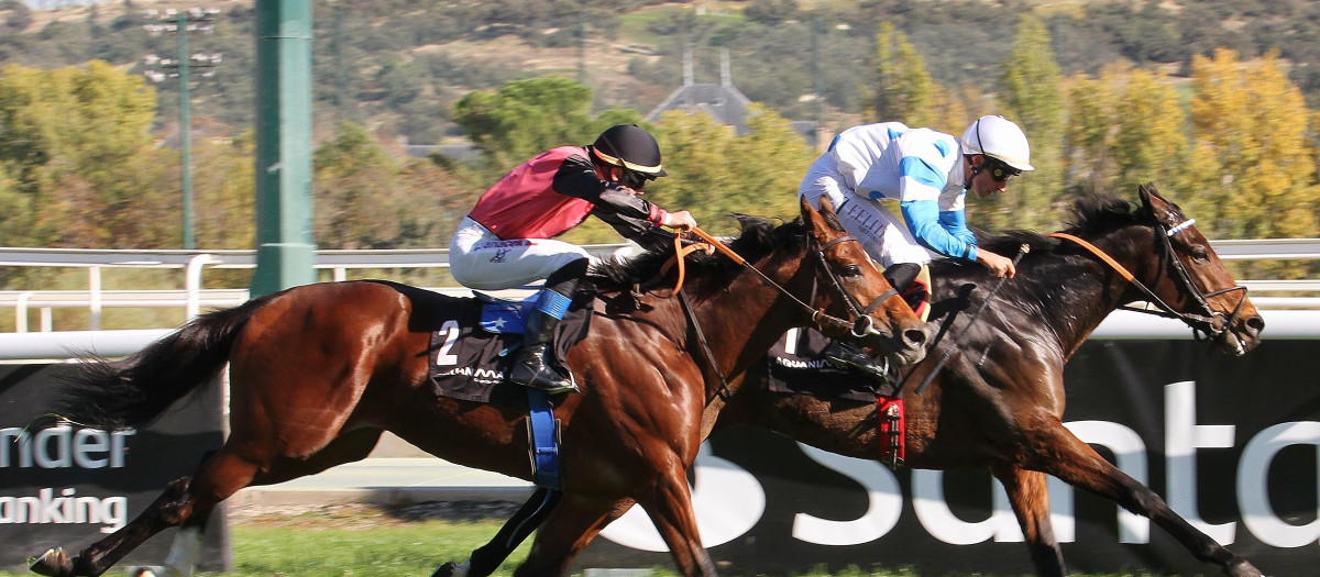 'Il Decamerone' - 'Media Storm' llegada del último 'Gran Premio Román Martín'