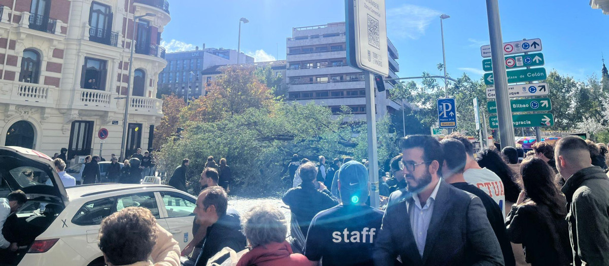 Imagen del árbol que compartió la testigo con sus amigos