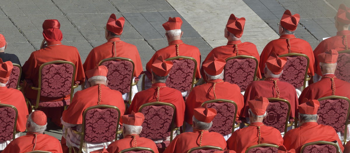 Al Papa lo eligen los cardenales de la Iglesia católica