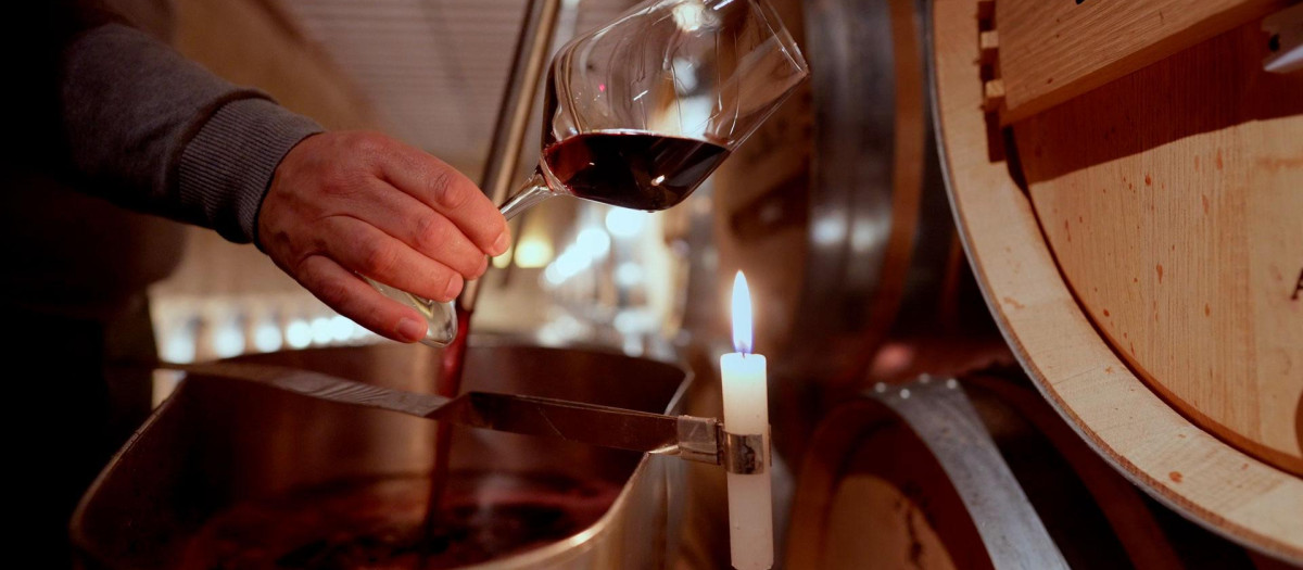 'Rioja, tierra de los mil vinos' se estrena en los cines este viernes 10 de noviembre