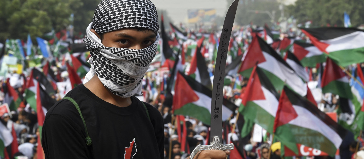 Manifestación pro palestina en Pakistán