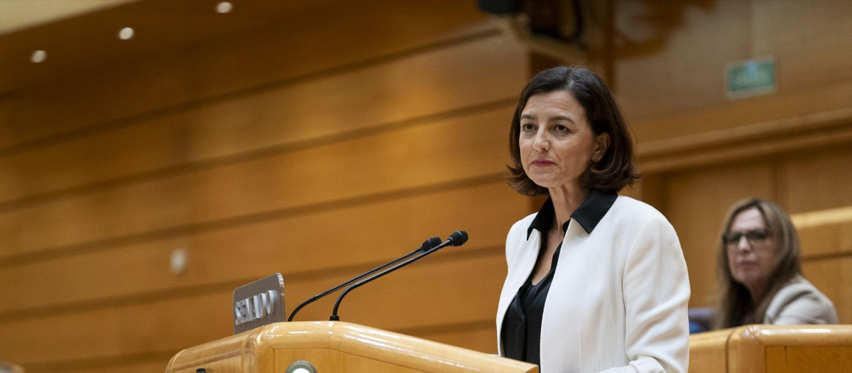 La portavoz del PSOE en el Senado, Eva María Granados