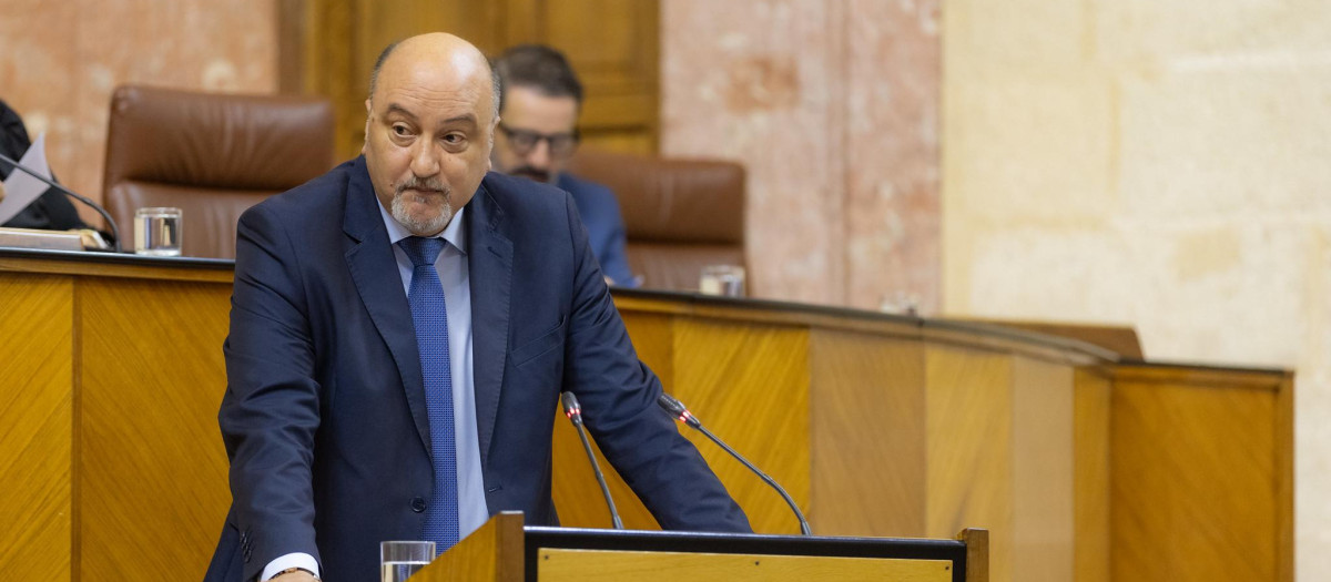 El portavoz adjunto de Vox en Andalucía Ricardo López Olea, durante un pleno del Parlamento andaluz
