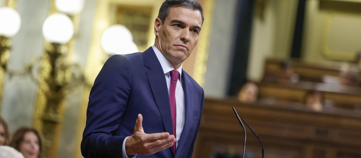 El secretario general del PSOE y presidente del Gobierno en funciones, Pedro Sánchez