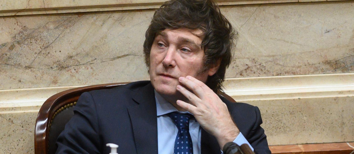 El nuevo presidente argentino Javier Milei