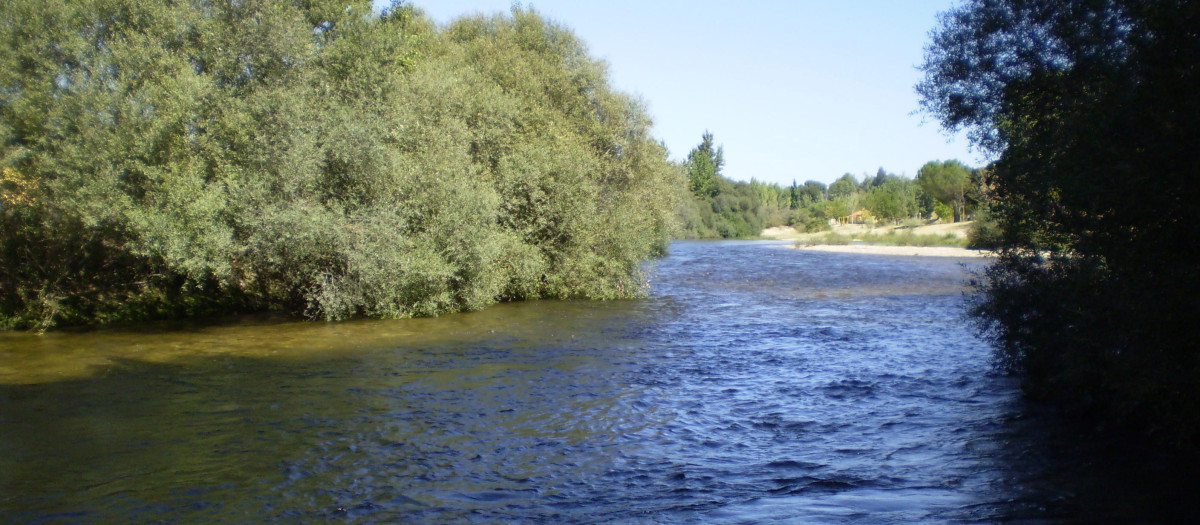 Río Alberche de Madrid