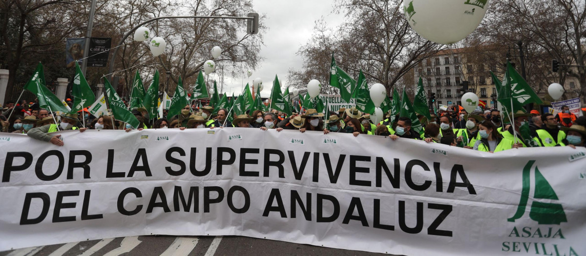 Asaja, en la manifestación en defensa del campo, en Madrid
Asaja en la manifestación por la defensa del campo en Madrid | Europa Press