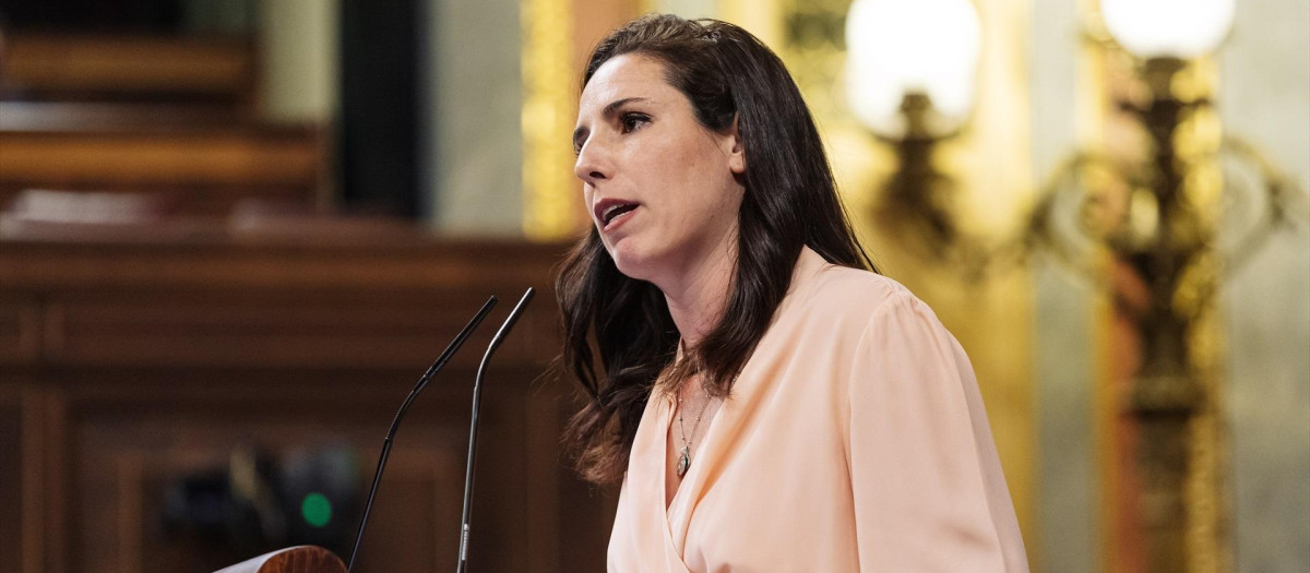 La diputada de Vox Rocío de Meer interviene durante una sesión plenaria en el Congreso