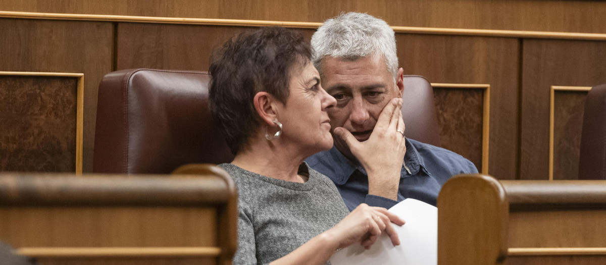 Los diputados de Bildu Maite Aizpurua y Oskar Matuta, este miércoles en el Congreso