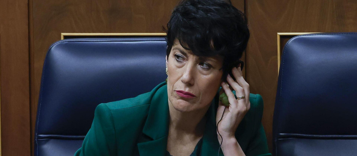 Elma Saiz, en el Congreso de los Diputados