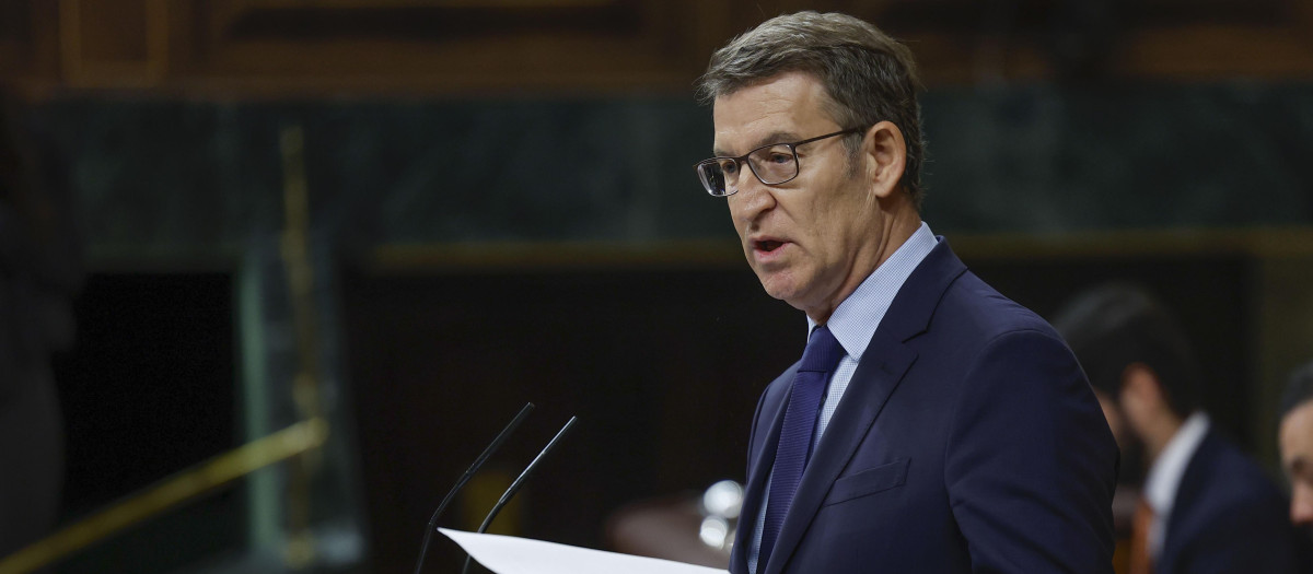 Alberto Núñez Feijóo, durante su intervención ante Pedro Sánchez