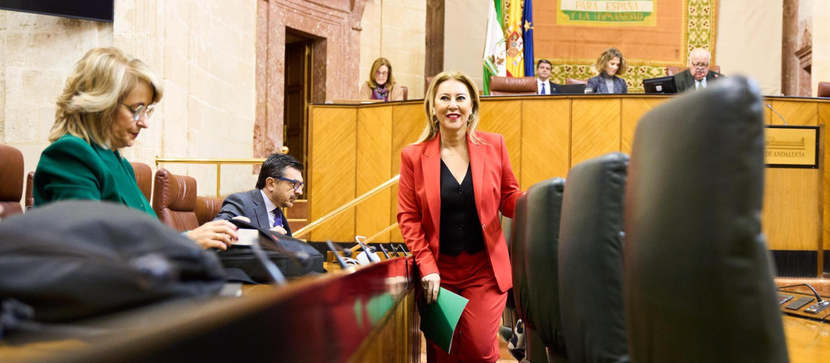 La consejera de Economía, Hacienda y Fondos Europeos, Carolina España, durante el debate final del proyecto de Ley del Presupuesto de 2024