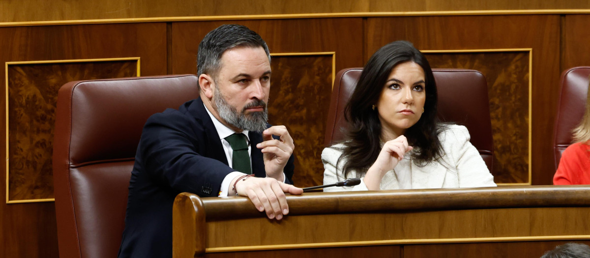 El líder de Vox, Santiago Abascal, y la portavoz del partido en el Congreso, Pepa Millán