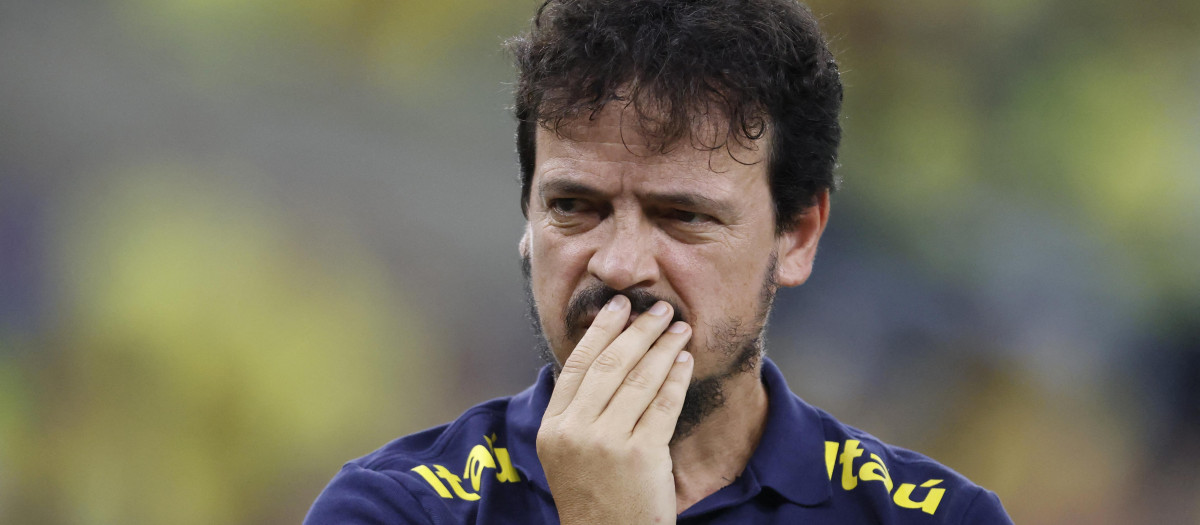 Fernando Diniz ha sido destituido como seleccionador brasileño