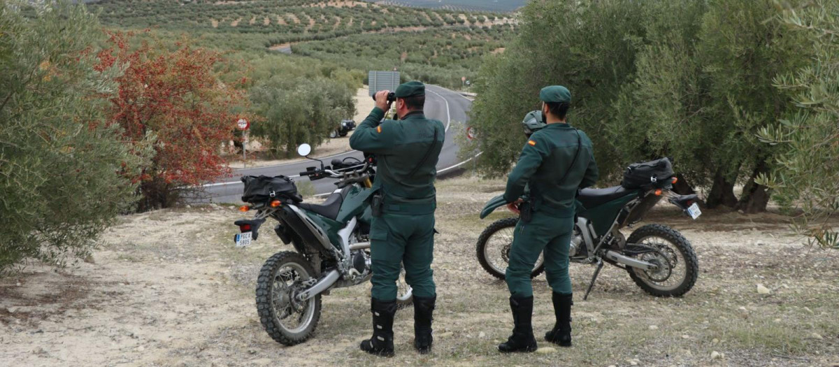 Agentes del Seprona de la Guardia Civil