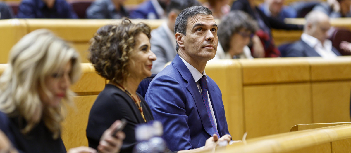 Pedro Sánchez mira el panel de votaciones en el Senado