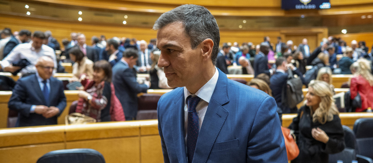 Pedro Sánchez el pasado miércoles en el Senado