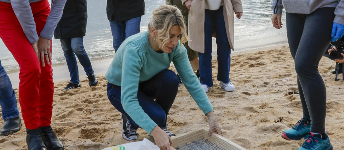 Yolanda Díaz visita una playa de Galicia y aprovecha para hacer campaña fotografiándose con los pélets