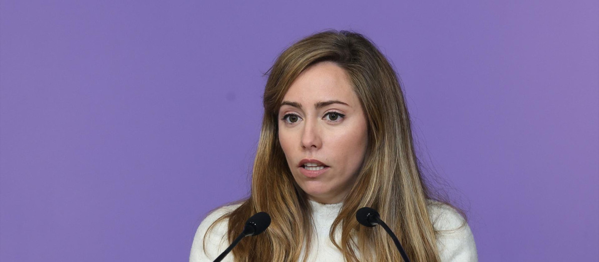 La secretaria de discurso, acción institucional y portavoz adjunta de Podemos, María Teresa Pérez, ofrece una rueda de prensa, en la sede del Partido, a 15 de enero de 2024, en Madrid (España). Durante la rueda de prensa han abordado la crisis de los pallets, la reforma del artículo 49 de la Constitución pactada por PP y PSOE para eliminar el término "disminuido" y sustituirlo por "persona con discapacidad", y el reparto de competencias en migración entre el gobierno central y la Generalitat de Catalunya.
15 ENERO 2024;RUEDA DE PRENSA;PODEMOS;DECLARACIONES;MEDIOS;
Marta Fernández / Europa Press
15/1/2024