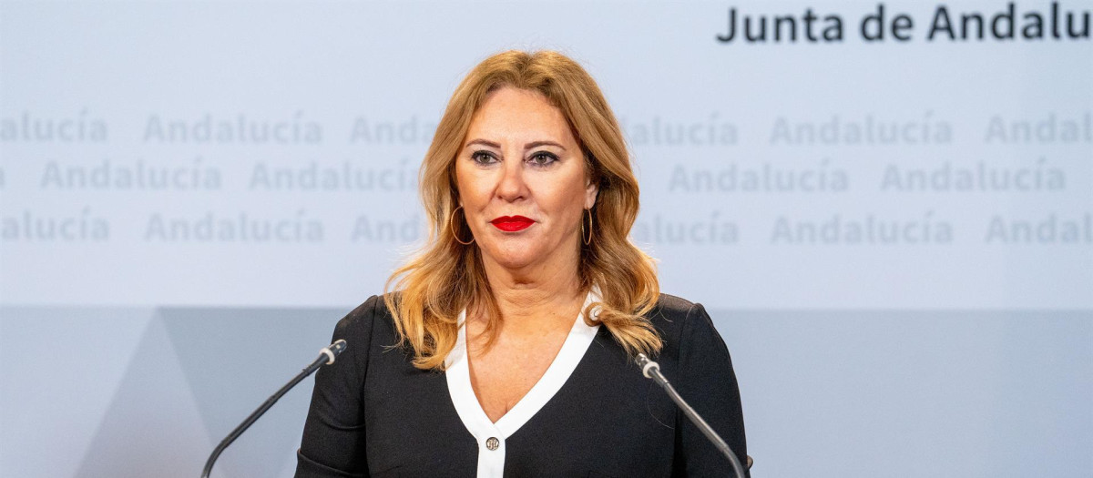 La consejera de Economía y Hacienda, Carolina España, en rueda de prensa