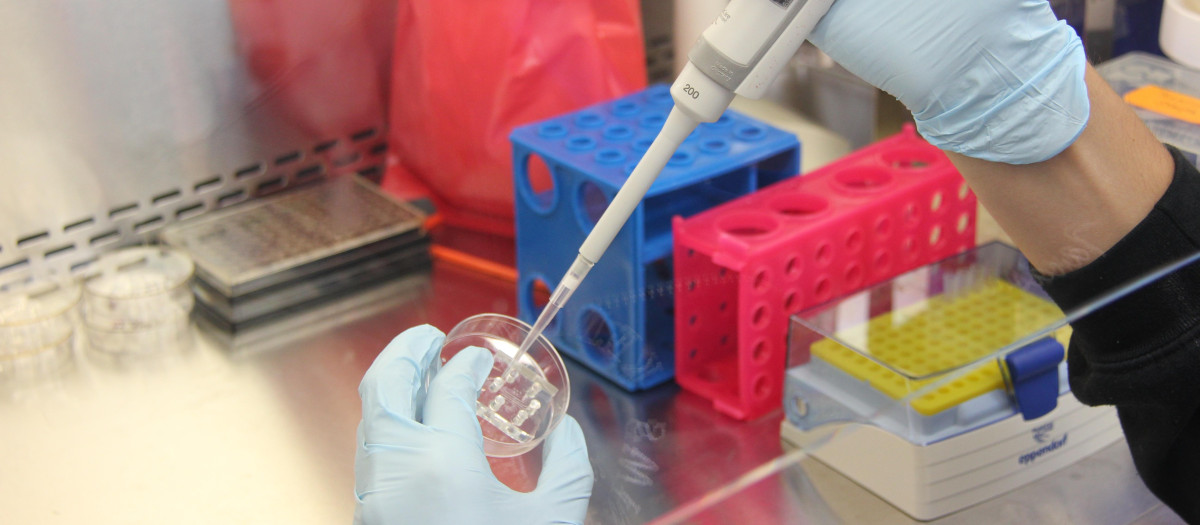 Laboratorio